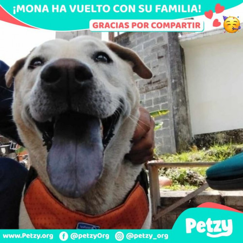 Foto de mascota Mona