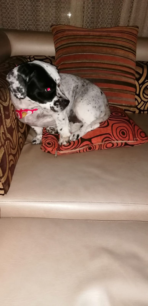 Princesa