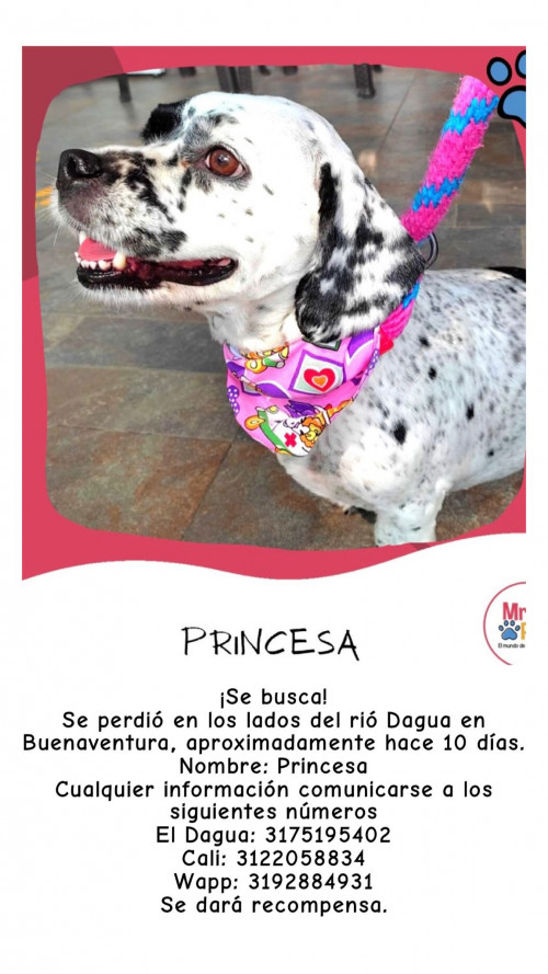 Princesa