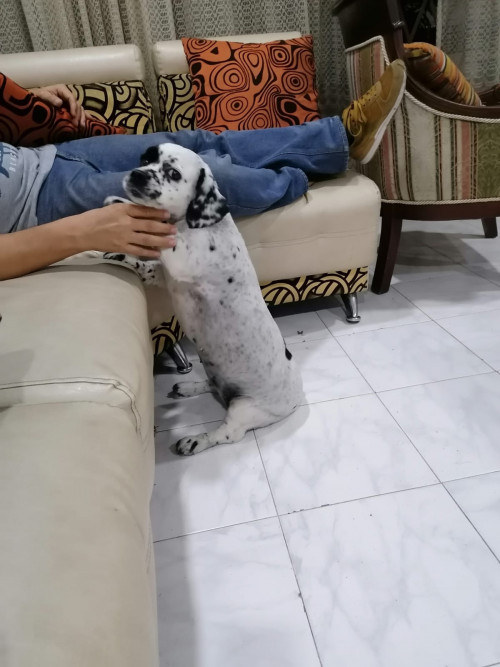 Princesa