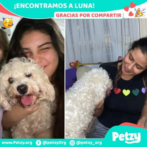 Foto de mascota Luna