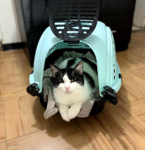 Milo