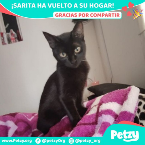 Foto de mascota Sarita