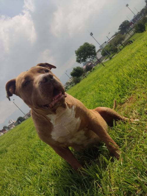 Zeus Guzmán