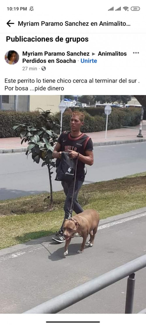 Zeus Guzmán