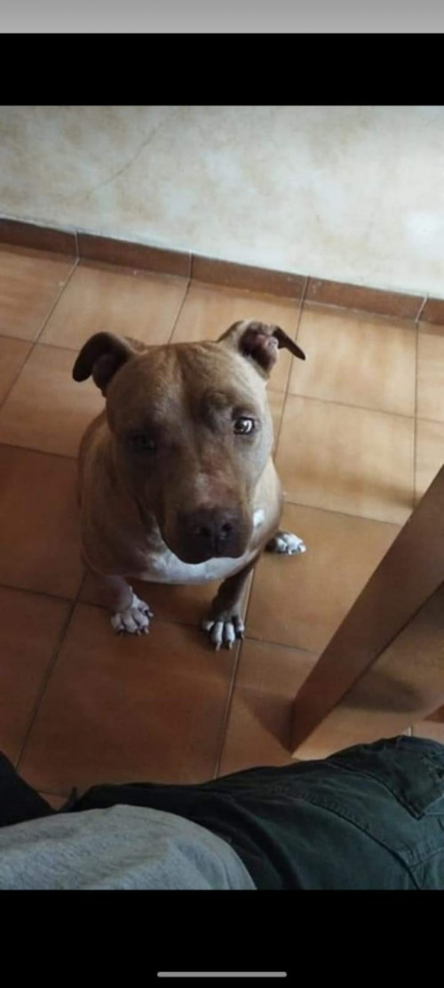 Zeus Guzmán