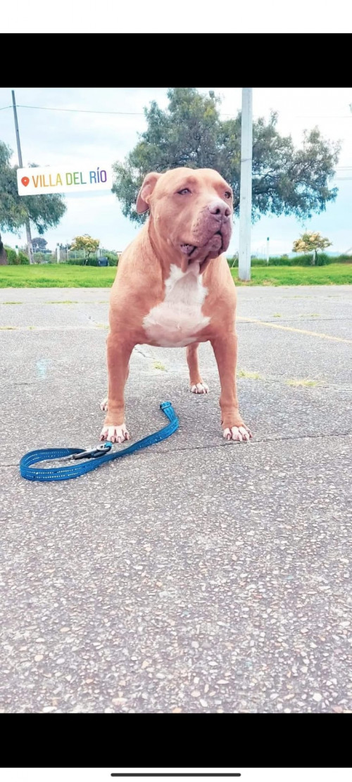 Zeus Guzmán