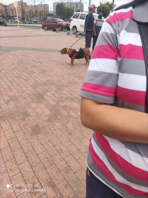 Zeus Guzmán