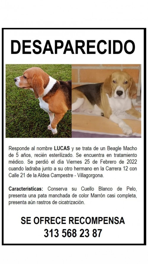 Lucas