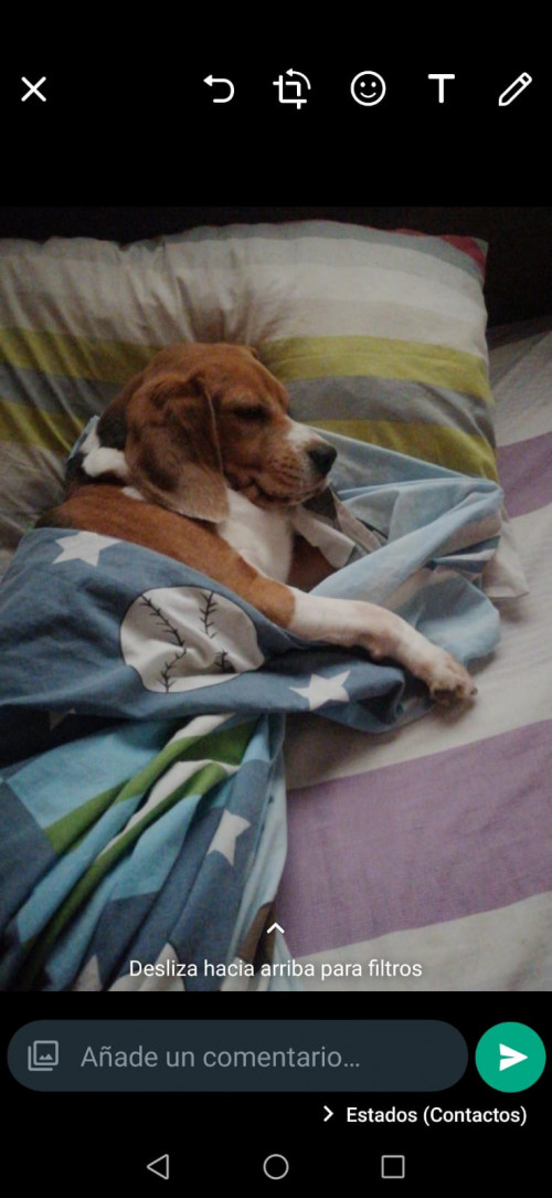 Lucas