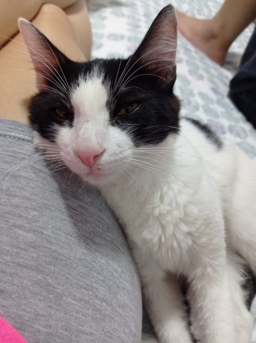 Coco
