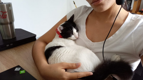 Coco