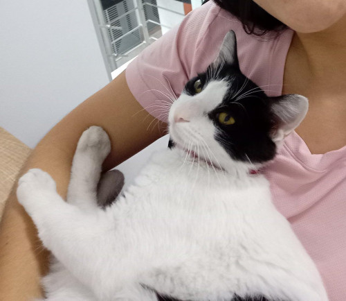 Coco