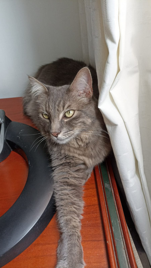 Salem