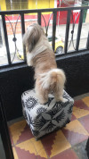 Foto de Niño en Medellín Antioquia #0
