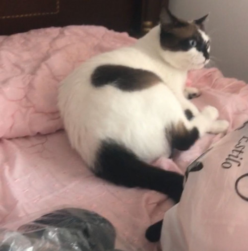 Matias