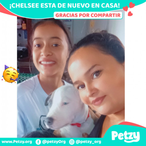 Foto de mascota Chelsee