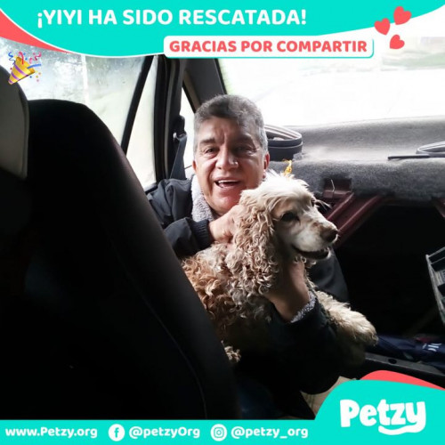 Foto de mascota Yiyi