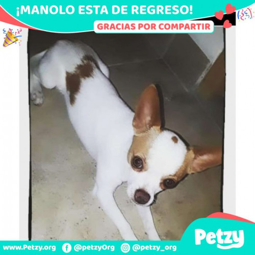 Foto de mascota Manolo