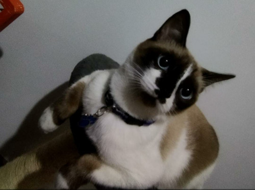 Jim
