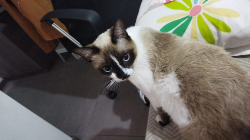Jim