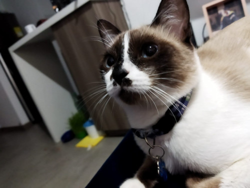 Jim