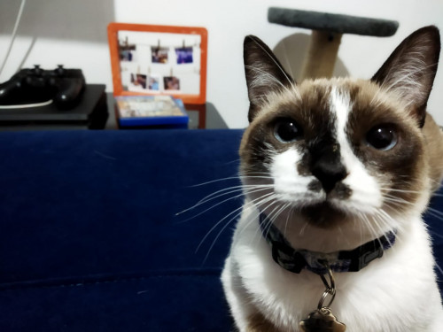 Jim