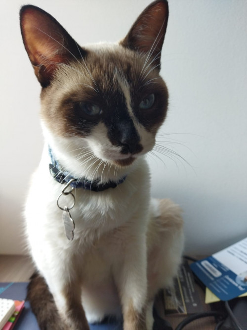 Jim