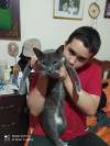 Foto de Tyson en Cali Valle del Cauca #3