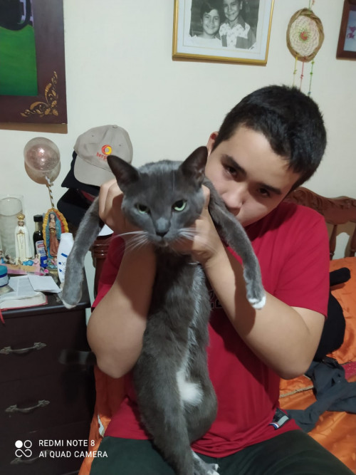 Tyson