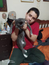 Foto de Tyson en Cali Valle del Cauca #2