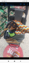Foto de Bruno en  Bogota #3