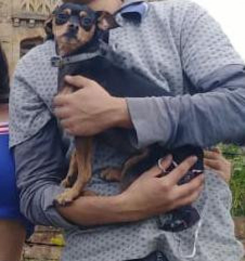Bruno