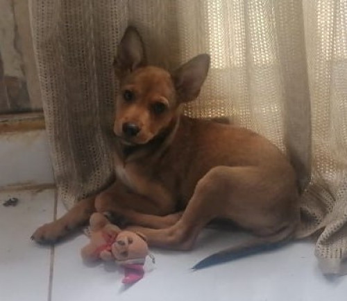Chester
