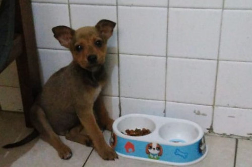 Chester