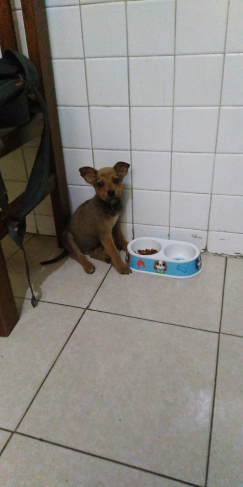 Chester