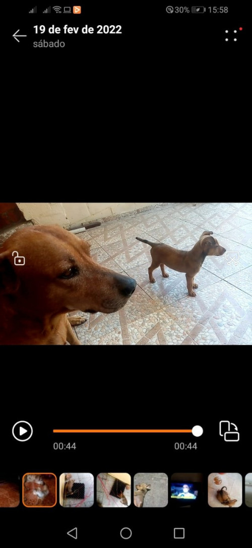 Chester