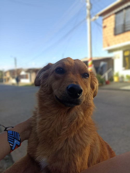 Lucy 