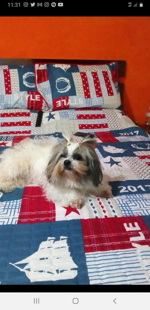 Sacha