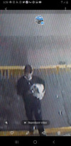 Foto de Sacha en  Bogotá #1