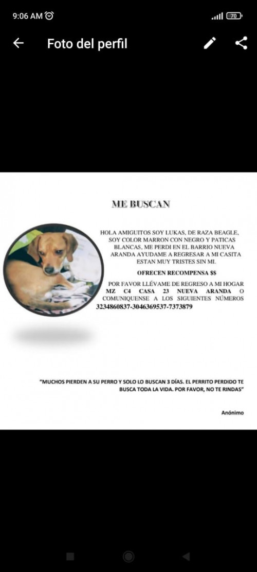  Lucas