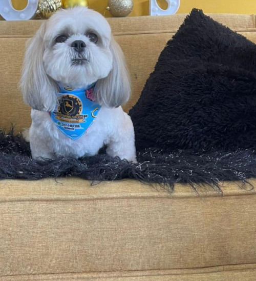 Coco