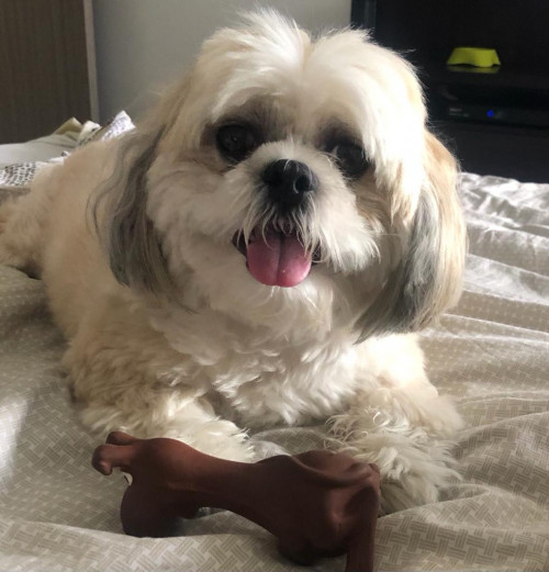 Coco