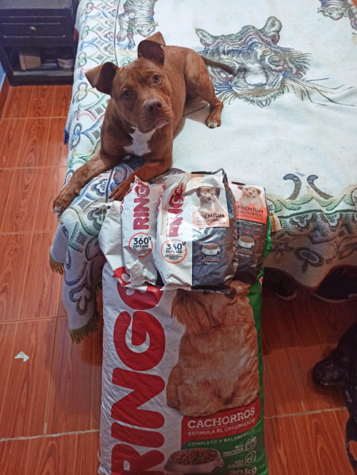 Molly