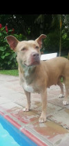 Foto de Kiara en Palmira Valle del Cauca #3