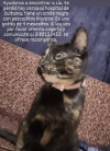 Foto de Lía en Duitama Boyacá #1
