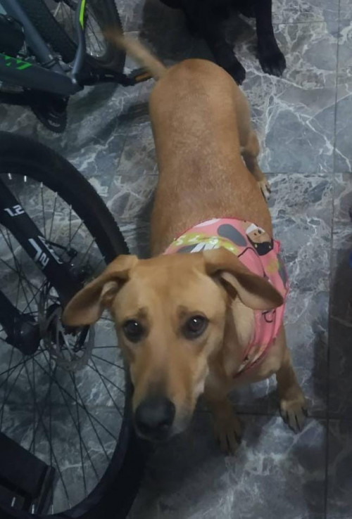 Luna