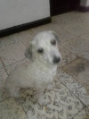 Foto de  Max en Cali Valle del Cauca #0