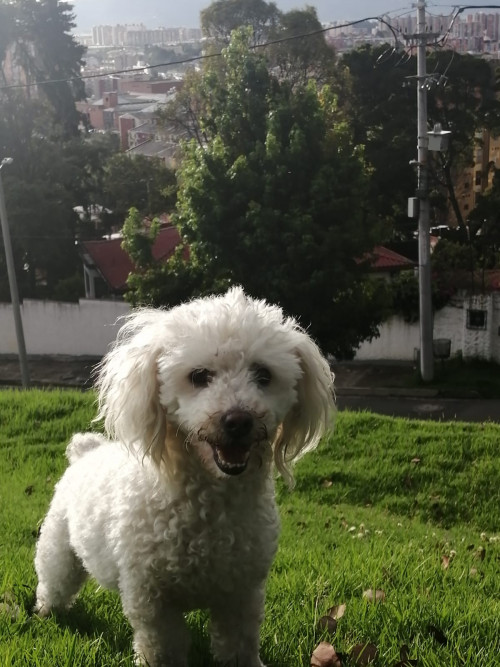 Sally