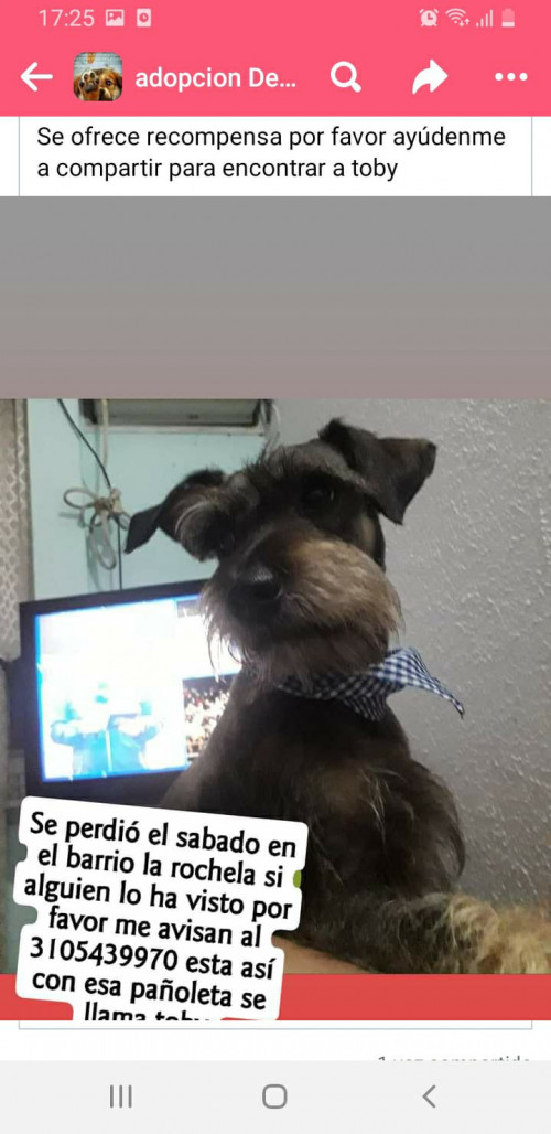 Toby